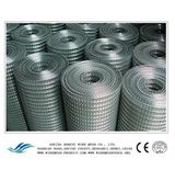 Stainless Steel Welded Wire Mesh