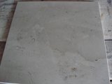 Conch Beige Marble