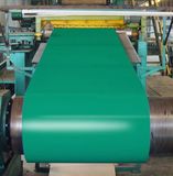 PPGI/Pre-Painted Steel Coil