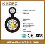 Hot Sell Good Quality Fig 8 Cable Type Gytc8y/Gyftc8y Optical Fiber Cable