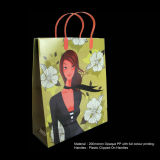 Plastic Shopping Bag (PP-01) -3