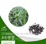 100% Natural Cyperus Rotundus Extract