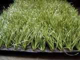 Artificial Turf CWADS 50