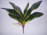 Artificial Orchid Leaves