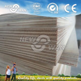 Commercial Plywood with Mr / Melamine / Phenolic WBP Glue