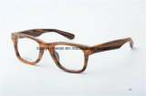 New Fashion Optical Acetate Frame Eyewear (TA25866-C94)