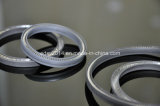 Spring Energized Seal for Gas Industry