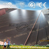 Shuttering Plywood / Concrete Plywood for Construction