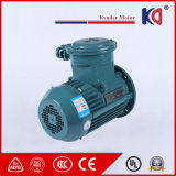 Three Phase Explosion Proof Electric AC Asynchronous Motor