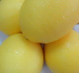 2014 Best Price Eureka Lemon