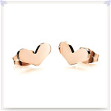 Fashion Jewelry Fashion Accessories Stainless Steel Earring (EE0130)