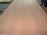 Sapele Fancy Plywood in Natural Veneer