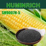 Huminrich Enhances Cell Division and Cell Elongation Potassium Humate Fertilizer