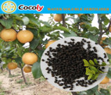 Cocoly Use Pear Agriculture Use Granular Type Water Soluble Fertilizer Complex Fertilizer