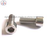 Ss304 Bolt/Stainless Steel Hexagonal Socket Cup Head Bolt