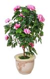 Artificial Plants and Flowers of Peony 100cm Gu-Bj-806-232-14