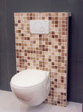 Wall Hung Toilet (8202)