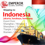 Container Shipping From Tianjin, Qingdao, Dalian, Xiamen to Jakarta, Surabaya, Belawan, Semarang