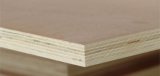 Commercial Plywood, Ocuman Fancy Plywood, All Kind of Plywood