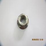 Flange Nut Fit for Flange Bolt