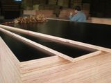 Black Film Faced Waterproof Plywood, Construction Plywood