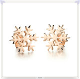 Fashion Accessories Fashion Jewelry Stainless Steel Earring (EE0134)