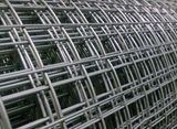 Welded Wire Mesh