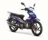 Motorcycle (BRG110-10)