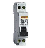 DZ30(DPN) Mini Circuit Breaker (MCB)