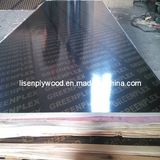 Black Film Faced Marine Plywood for Concrete Formwork