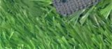 More Natural and UV Stability Artificial Turf