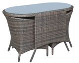 Rattan Furniture (SY008)