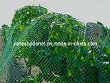 HDPE Anti-Bird Net