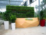 High Artificial Plants and Flowers of Green Wall Gu-Mx-Green-Wall0017