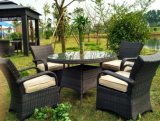 Outdoor Furniture Garden Furniture Rattan Dining Table Chair