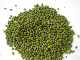 Green Mung Beans with Good Taste and Quality