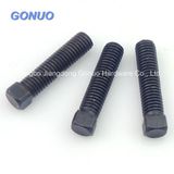 High Quality Black Square Head Bolt