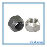 Hex Nut Non Standard Nut M24-M80-2