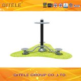 Outdoor&Indoor Gym Fitness Playground Equipment (QTL-3005)