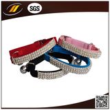 Pet Product Supplier Rhinestone Leather Dog Collar (HJ1201)