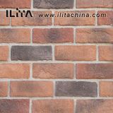 Culture Stone Tile Wall Veneer Decorative Panel (01030)