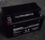 Ytz10s Mf Motorcycle Batteries/Motorcycle Part 12V8ah