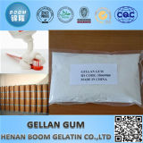 Hot Wholesale Bp Low Acyl/High Acyl Gellan Gum Powder