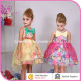 Beautiful Chiffon Girls' Apparel, Child Garment (6255#)