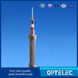Optical Fiber Composite Overhead Ground Wire (Model: OPGW36)