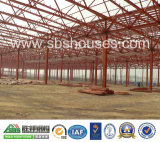 Large Span/Artistic Steel Structure House/Building