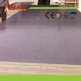 Marine Plywood/Film Faced Plywood/Commercial Plywood