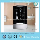 Best Selling 5mm Tempered Glass Steam Massage Complete Shower Room (BLS-9822B)