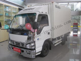 Isuzu Nkr Single Cab Cargo Truck (QL6SV)