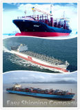 Your Reliable Shipping Agent (20'ft/40'ft/40'HQ) From China to Turkey